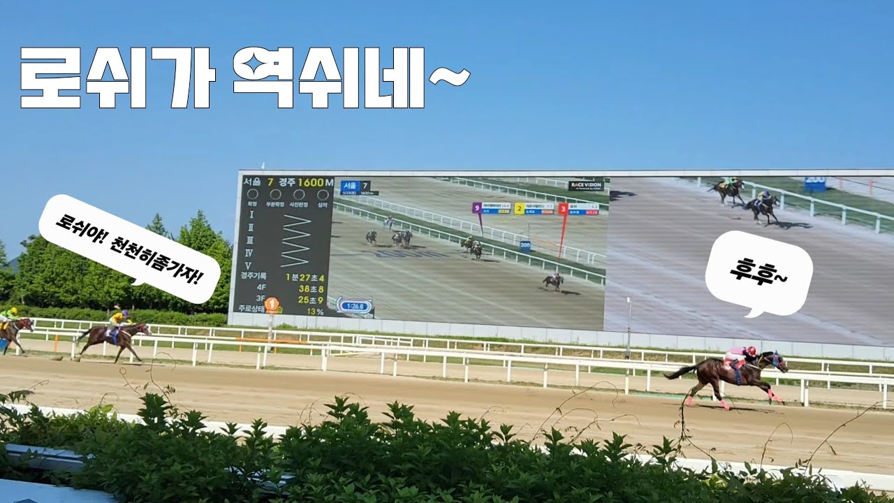 로쉬 일반경주 나오는건 이제 ㅉ팔리 잔아?(클린원 도장깨기 도전가보자!)