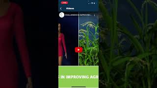 Micro learning in mobile app