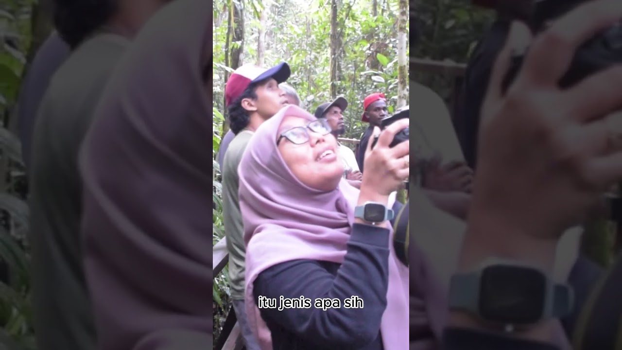 VLOG- Serunya Ikut Birdwatching di Klabili, Tambrauw, Papua Barat