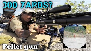 Shooting 300 Yards With an Air Rifle