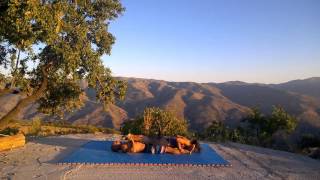 Partner Push Up S, Sit Up S, Handstand Up S