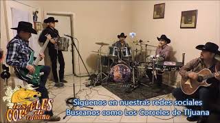 Pepito y su caballo-Los Corceles de Tijuana