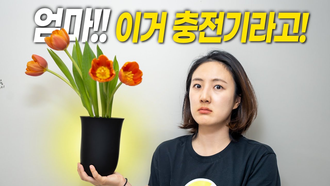 무선 충전기라고 반드시 설명해야 하는 구구절절 충전기