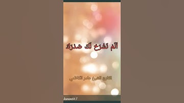 سورة الشرح بصوت القارئ عامر الكاظمي