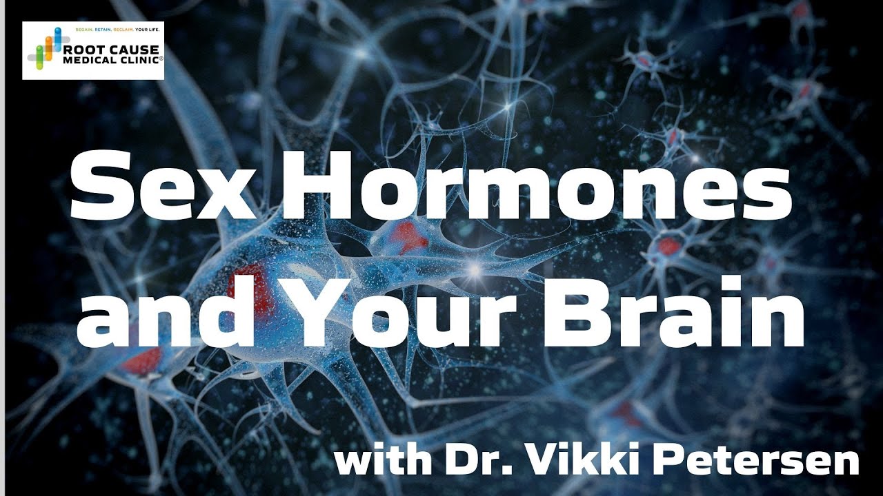 Sex Hormones and Your Brain - YouTube