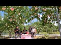 ★福岡県産もものご紹介★