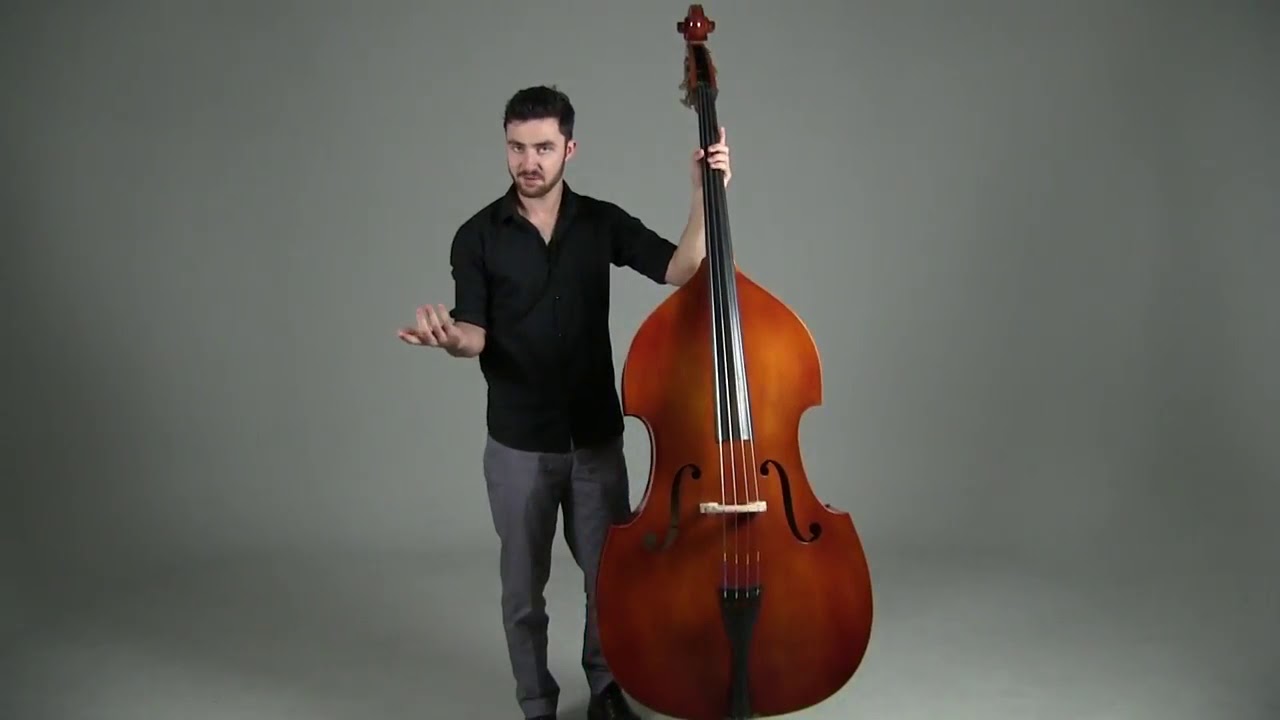 Harp Harmonics on the Double Bass with Andrew Ryan YouTube