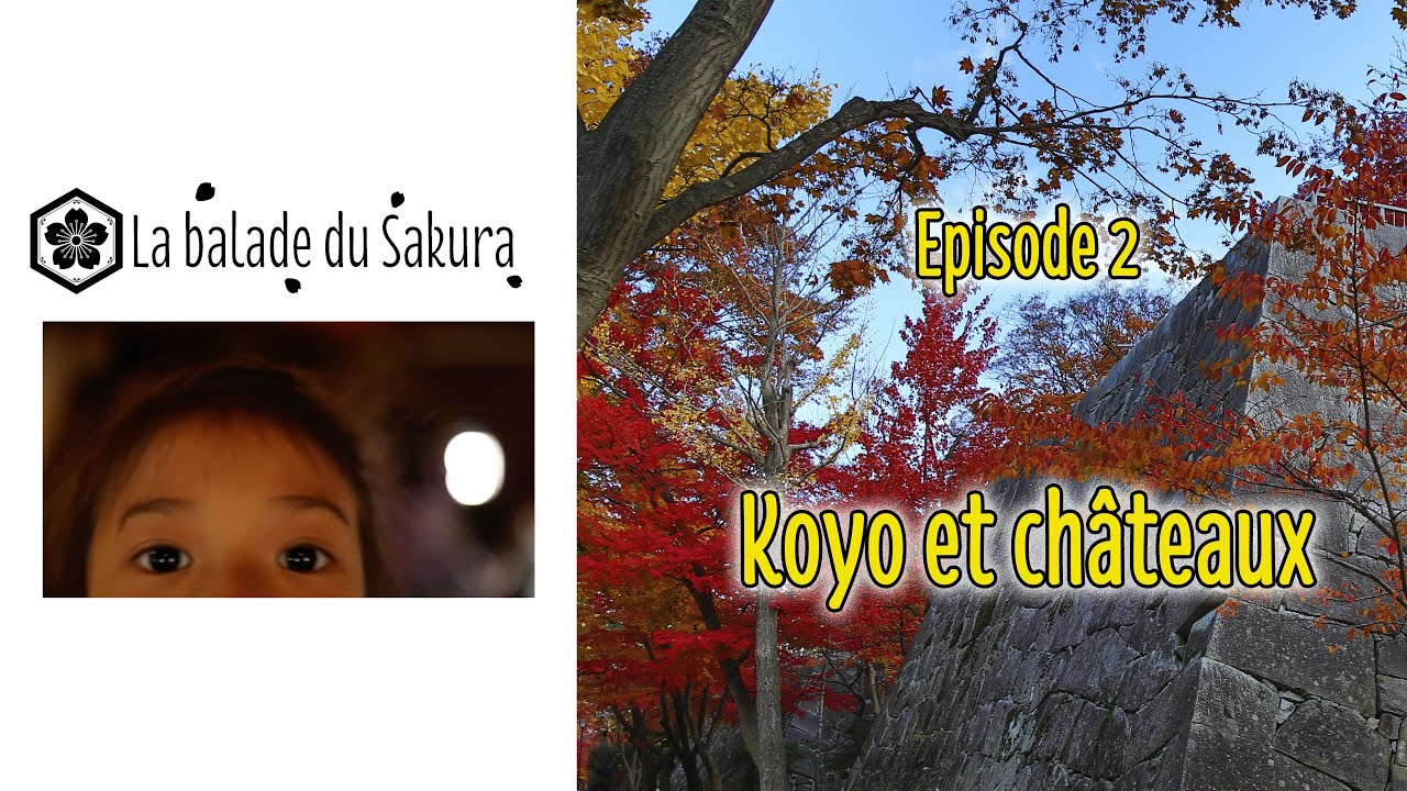 La balade du Sakura : EP 2 Koyo et châteaux