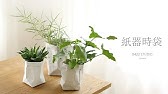 Eggling植物栽培蛋 影片教學 Youtube Eggling植物栽培蛋 影片教學 Youtube