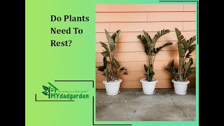Do Plants Need To Rest?