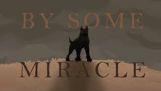 - By Some Miracle - Music Video (thesis film University of Hertfordshire)