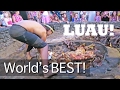 World's Best Luau - Maui's Old Lahaina Luau