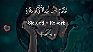 Download Lagu zra kho liwanai v da cha na manee MP3 Download Lagu zra kho liwanai v da cha na manee MP3