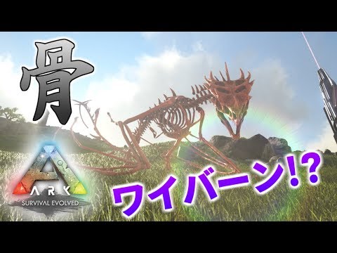 Ark P鯖 40 透け透けの体 ワイバーン骨格コスチューム Youtube