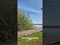 Утро на озере #пениептиц #утреннее #весна #соловей