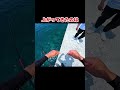 海から高価なものが#釣り#fishing#佐賀