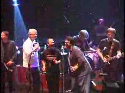 wild thing - rock bottom remainders