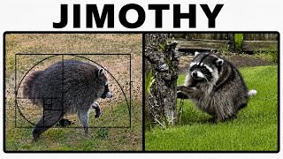 This Raccoon’s Spine Made Him Internet Famous