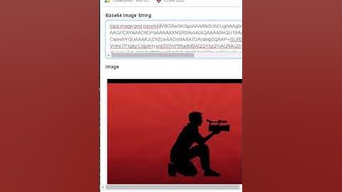 How To Convert an Image to a Base64 String using C# 10