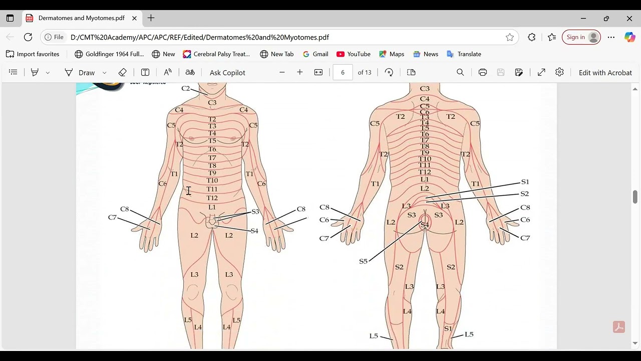 Dermatomes and Myotomes || Spinal and Cranial Nerves || Upper and Lower || PPT Series by CMT Academy
