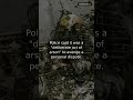 Delhi fire deliberately set to avenge dispute police say | #Shorts