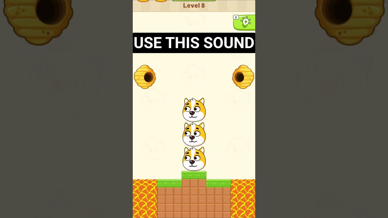 Save the Dog - YouTube