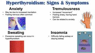 Hyperthyroidism, Thyroid Storm Signs  Symptom, & (why they occur?). |Sophora Solutions|