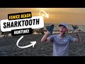 HOW TO HUNT FOR SHARK TEETH! Venice Beach and Casperson Beach Florida. SHARK TOOTH techniques