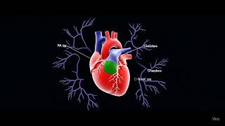 AI Based Medical Segmentation