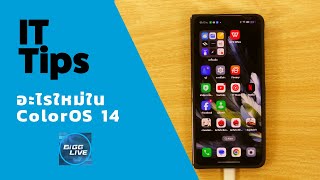 รีวิว Color OS 14 มาซะที อะไรเปลี่ยนบ้าง | IT Tips