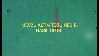 Altın tozu nasıl olur.
