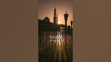 سورة الأنعام {الآية 101} بصوت الشيخ ياسر الدوسري ❤️💖