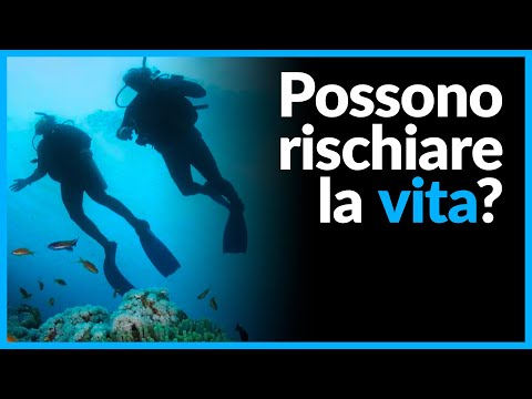 Video: Spiegare i diversi tipi di immersioni subacquee