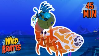 Creature Battles! | Every Creature Showdown Season 3 | New Compilation | Wild Kratts