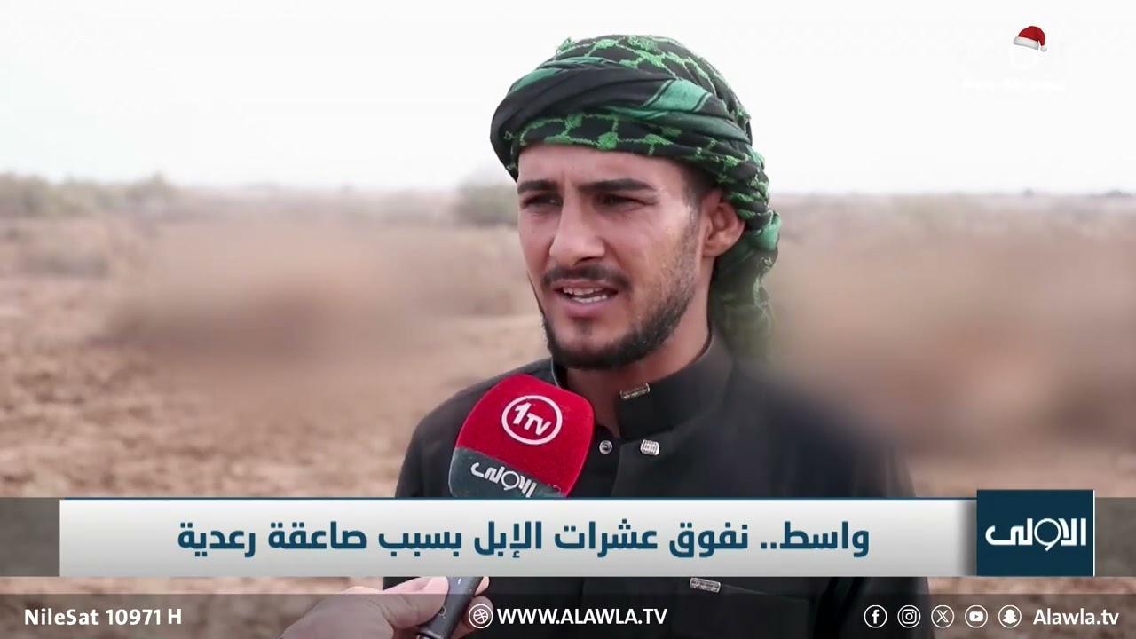 واسط.. نفوق عشرات الإبل بسبب صاعقة رعدية