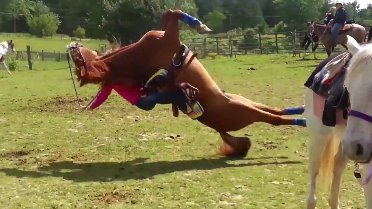Horse Flips Lands On Rider Meme Source YouTube