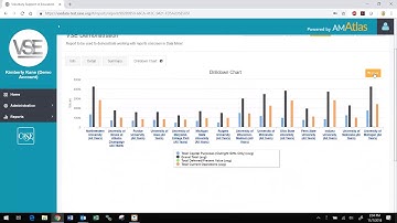 VSE Data Miner: Working with Reports Onscreen