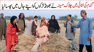 Top comedy viral videos 2026, Dholan, lali, sharmili, ramzi, nori, Jugnu, ladu, totyshah, funnyjokes