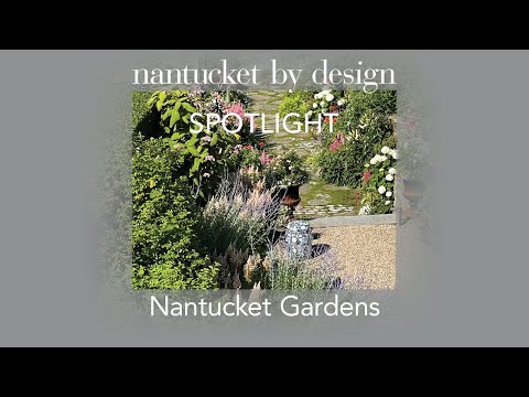 Video: Cape Cod, Nantucket, dan Sorotan Kebun Anggur Martha