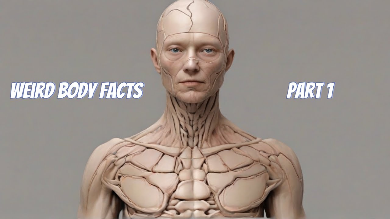 Weird Body Facts Part 1 interestingfacts YouTube