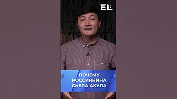 Почему акула съела россиянина?