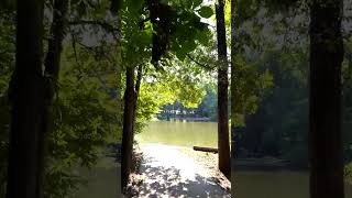River Creek Walkthrough