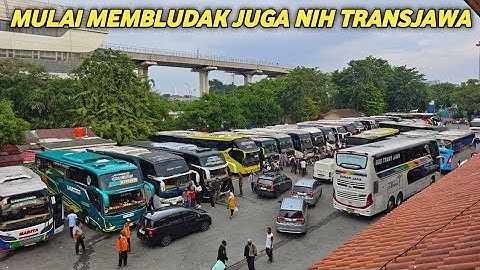 TRANSJAWA MULAI DISERBU MUDIK 2025 TERMINAL KAMPUNG RAMBUTAN JAKARTA