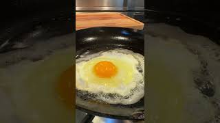 Egg Cam: FAIL!