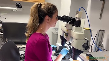 Take a behind-the-scenes look at our Forensic Services Division Firearm and Toolmark Unit.