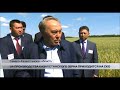 Четверть производства казахстанского зерна приходится на СКО