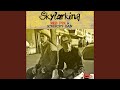 Skylarking