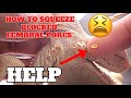 How To Properly Squeeze Out Blocked Femoral Pores In Bearded Dragons The Right Way !!