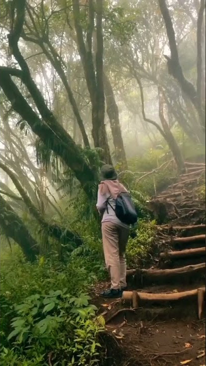 Story Wa pendaki gunung viral - Gunung Indonesia #shorts #pendaki #story #gunungindonesia