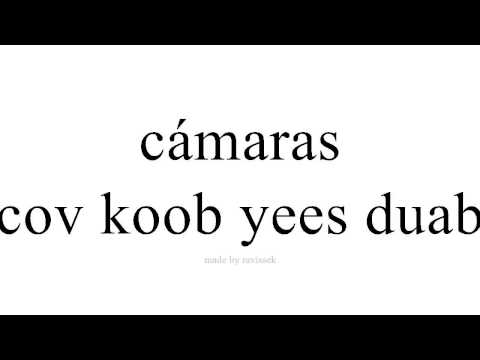 Video: Cov Koob Yees Duab 
